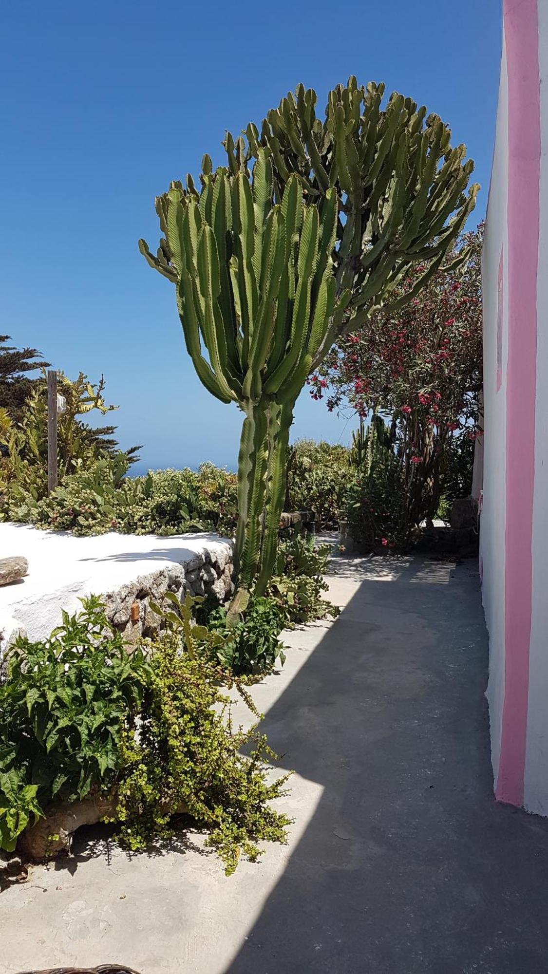 Dammuso Bianco Holiday home Tracino